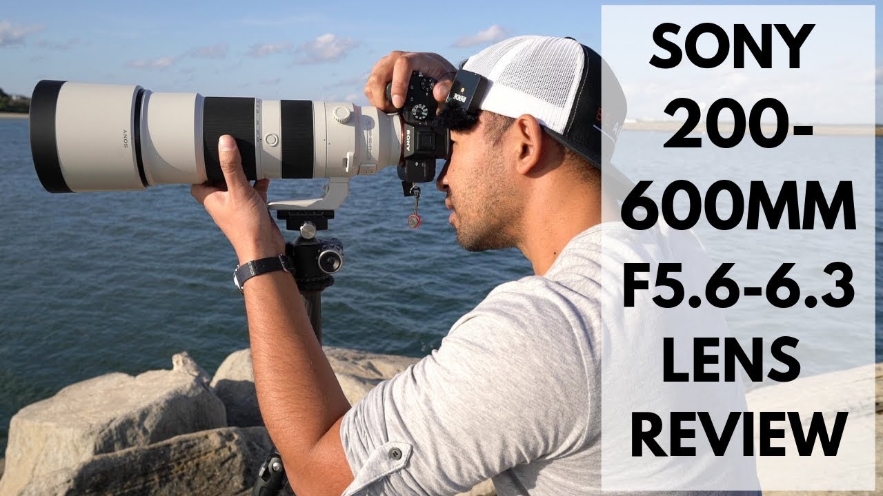 Video thumbnail for Video Review 3