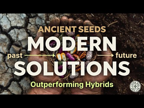 Reviving Ancient Seeds: Sustainable Solutions for Climate Resilience
