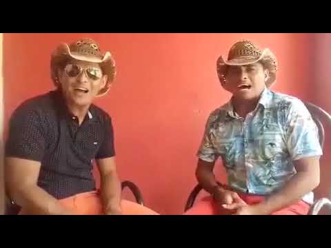 toada da vaca chuvisco Alon Zoa e Ari