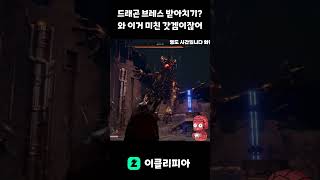 붉은사막: 드래곤브레스? 훗!