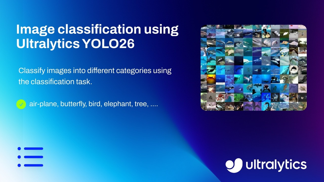 How to Train Ultralytics YOLO26 on Caltech-256 Dataset | Image Classification | Top 1 - Top 5 Acc 🚀