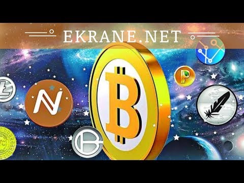 Ekrane.net отзывы 2018, mmgp, обзор, ключ регистрации, новинка Финансовый учёт