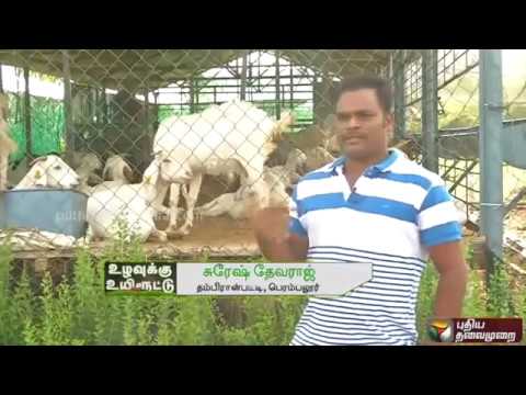 Goat Farm and Country Chicken - Uzhavukku Uyiroottu  ஆடு வளர்ப்பும்    நாட்டுக்கோழி வளர்ப்பும்