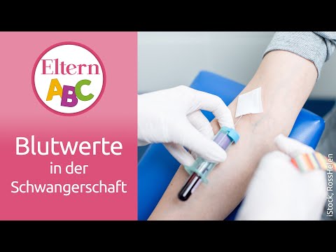 Welche Blutwerte werden in der Schwangerschaft kontrolliert? | Schwangerschaft | Eltern ABC | ELTERN