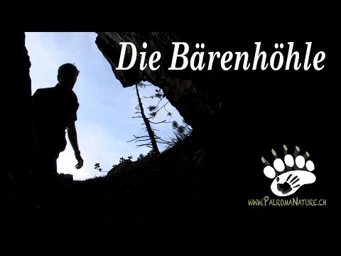 Die Bärenhöhle | The Bear Cave | Braunbär Schweiz