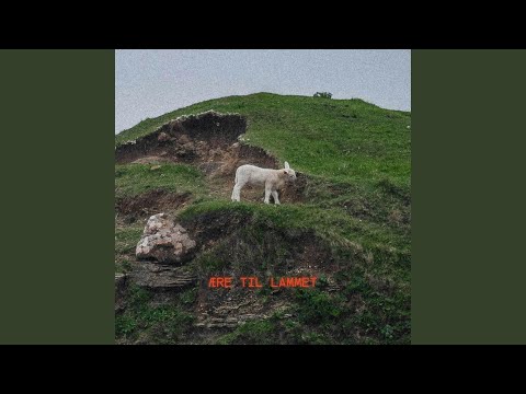Ære Til Lammet