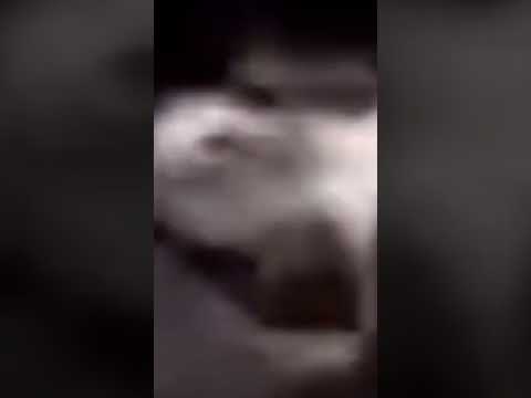 BlackBoxWarrant monologue attempt