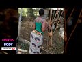 BAIKOKO MPYA MKUNDU WOTE WAZI CHURA KANGAMOKO BAIKOKO CHURAXXL