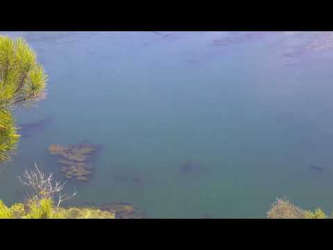 ebro  riba roja 20170710_135612.mp4