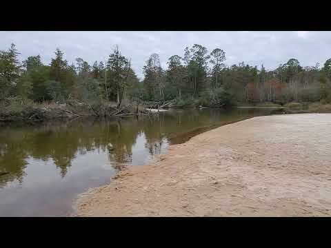 short video of the blackwater river. Reminds us of our days camping on the Satilla River in GA