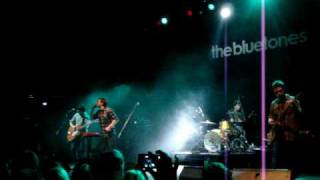The Bluetones Live - Solomon Bites The Worm