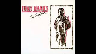 Tony Banks - At the Edge of Night (instrumental)