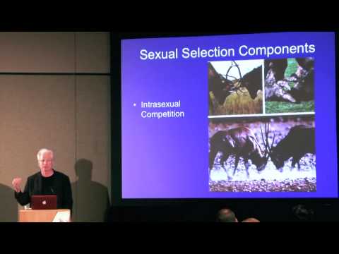 Why Students Love Evolutionary Psychology . . . and How to Teach It