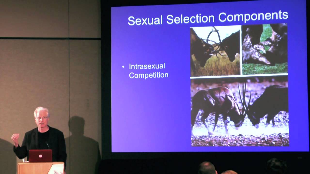 Why Students Love Evolutionary Psychology . . . and How to Teach It