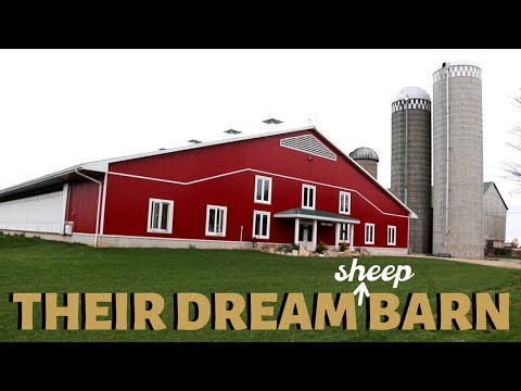 HOW THEY BECAME FULL TIME SHEEP FARMERS (Touring a BRAND NEW Sheep Farm): Vlog 173