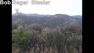 Bob Seger  Stealer