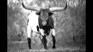 -big ball&#39;s in cowtown-