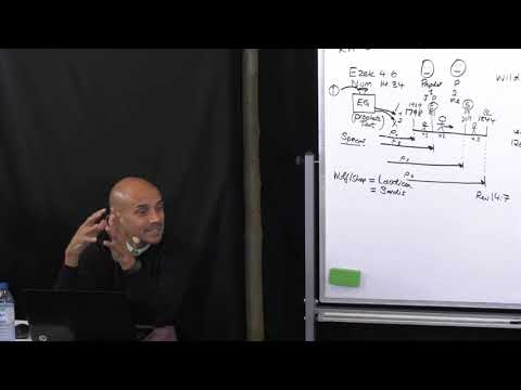 4. Daniel 8 - Parminder Biant