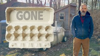 Gave All Chickens Away Amid Record Egg Prices!