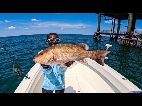 Solo Mission Chasing Monster Mangrove Snapper (Catch Clean Cook)