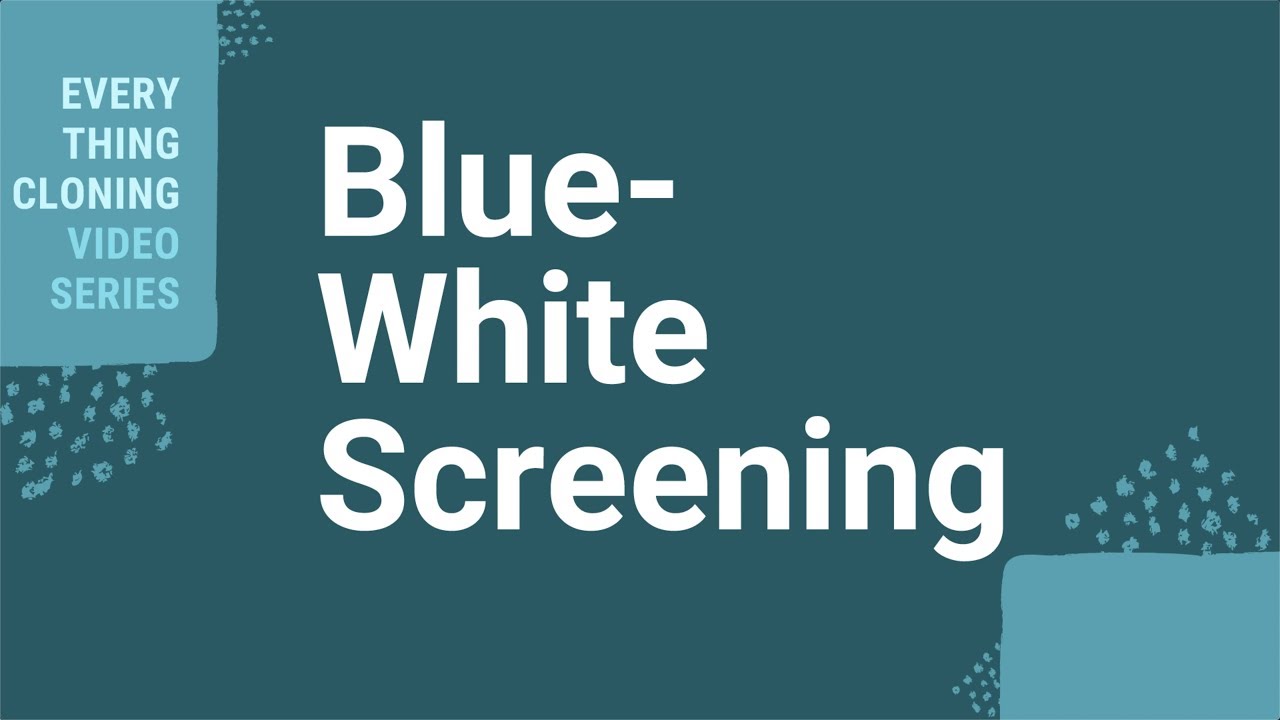 How to Perform Blue-White Screening