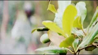 Download lagu (part 1) Ucapan Hari Raya 2010 Putra Brasmana Hotel mp3