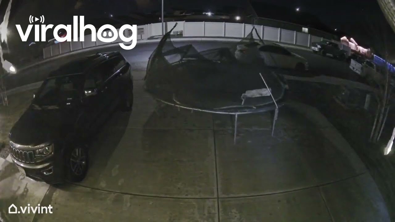 Flying Trampoline Nearly Hits Our Jeep in Washington || ViralHog