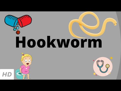 Hogy néznek ki a pinwormok
