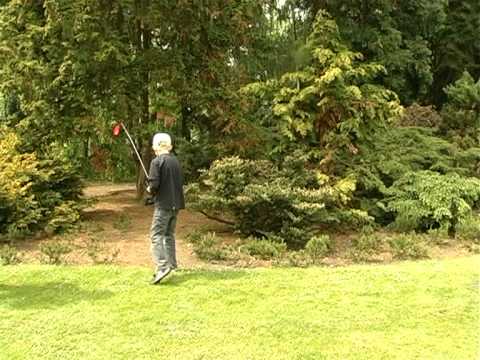 Sfeerverslag Via del Mondo