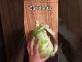 How to cut Iceberg for Salad / Perfect way to chop iceberg nicely 😍