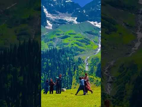 Natural vibes ❤️ #mountains #nature #pahalgam #travel #love #kashmir #sonmarg #valley #gulmarg