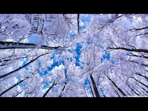 Baltaplaukė Žiema - Giedrius ir Agnė Arbačiauskai