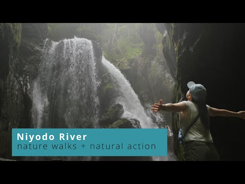 Niyodo River, nature walks + natural action