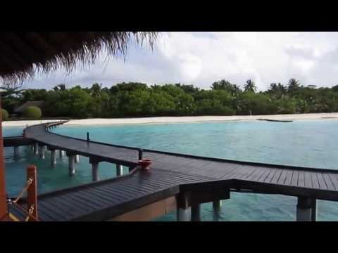 Videos del Adaaran Prestige Water Villas 5★ en Raa Atoll, MaldivasVer MásVerPrecios18CerrarConsulta por Whatsapp 🇦🇷BookingTripadvisorExpediaAgodaTravelocityOrbitzPricelineTripSkyscannerDespegarKayakHotelesDestiniaTrivagoLastminuteHotwireTuiWotif
