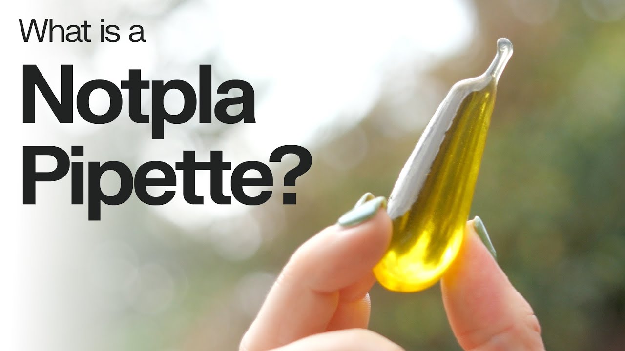 What is the Notpla Pipette