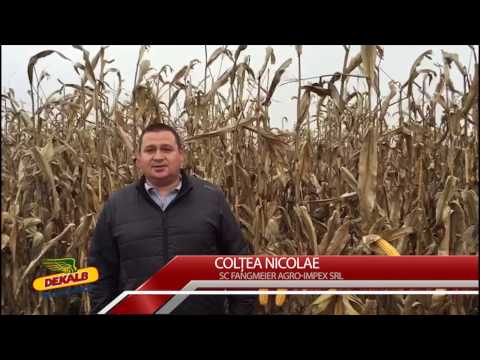 Testimonial DKC5632 si DKC5031- Hotea Nicolae