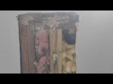 Yellow Jackets Inside the Wall in Wall Township, NJ