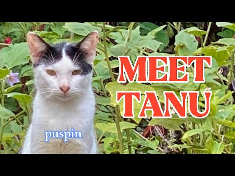 MEET TANU