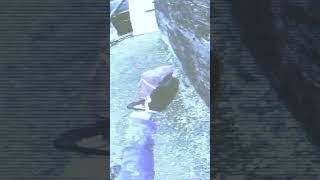 #shorts【サバゲ】ブロンズ　#エアガン　#サバゲ 　#FPS 　#ガバメント #airsoft #サバゲー