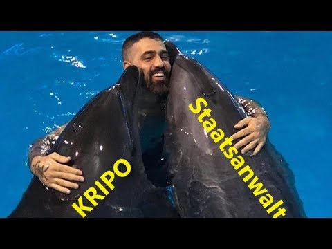 Wir reagieren auf Flers Antwort - SCHWANZSHIDO - Ehrenmann 90Bpm