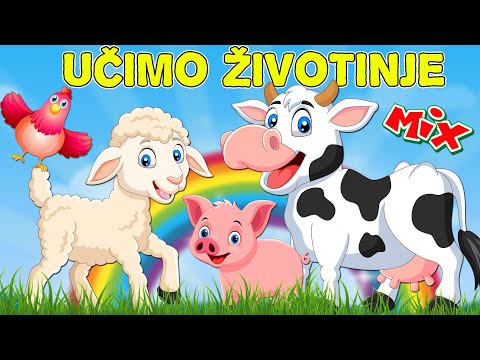 Učimo životinje - MIX odabranih pesmica za decu | Pesme o životinjama | Farma Miks | Kako kaže kuca