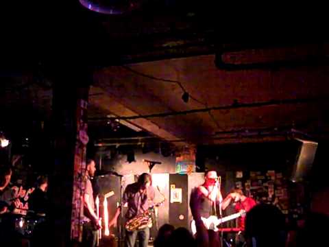Subcity - Live -Feb 10 2011 @ the Royal Albert