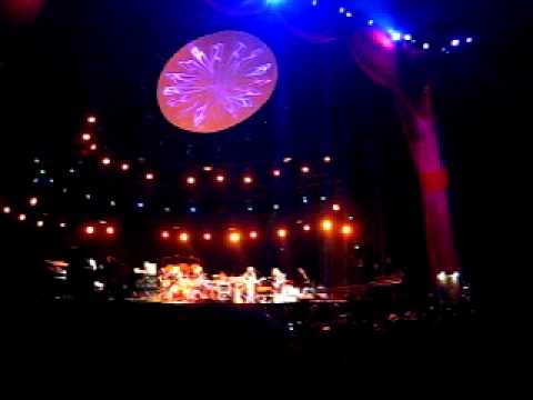 Rothbury Dead - I know you RIder