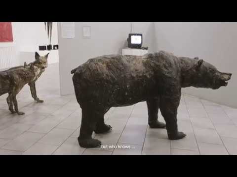 Alberto Salvetti - Camminando con i lupi