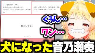 ついに犬となった奏ちゃんが質問に答える動画【ホロライブ切り抜き/音乃瀬奏/エイプリルフール/ReGLOSS/DEV_IS】