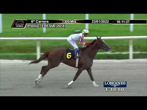 220123 c06 NAVARRO (ARG)