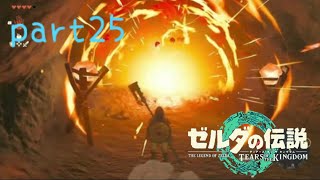 【ティアーズオブザキングダム】〜おいしいわ〜美空の実況#25