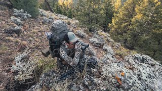 5 Days Hunting in New Mountains | Bonsai Archery Elk Hunt