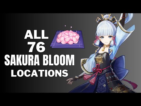All 76 Sakura Bloom Locations - Efficient Farming Route - ayaka ascension materials I Genshin Impact