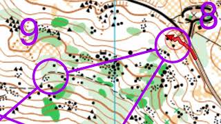 Orienteering analysis: Mt Laguna Weekend--Sunday Advanced